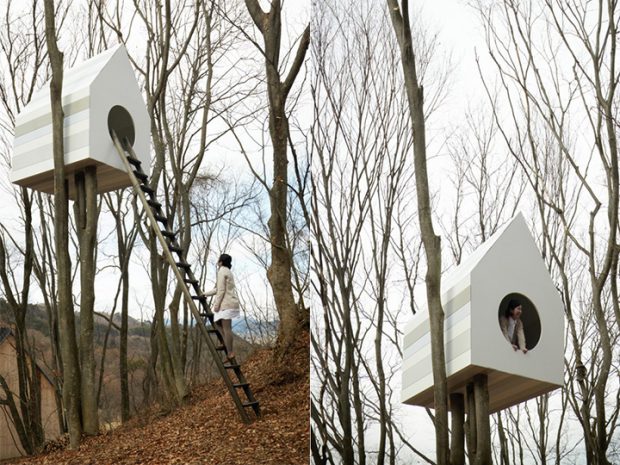 bird-apartment_02