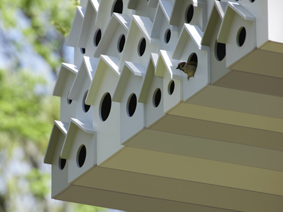 bird-apartment_03