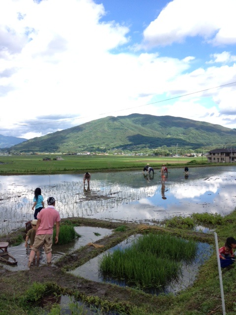 伊勢崎さんは山からの水が流れこむ麓で自然栽培のお米や野菜を栽培している。