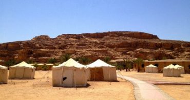 第3回：帰国子女、未来の農業「アクアポニックス」にヨルダンの砂漠で出会う｜脱線帰国子女、農を求む