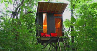 樹上の秘密基地、1,500ドルで作った子供のための小さな家「Tiny Tree House」