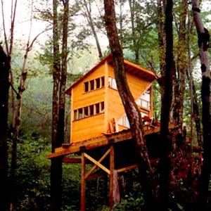 人生を冒険する女性の セルフビルドツリーハウス The Wee Treehouse Yadokari スモールハウス 小屋 コンテナハウス タイニーハウスから これからの豊かさを考え実践するメディア