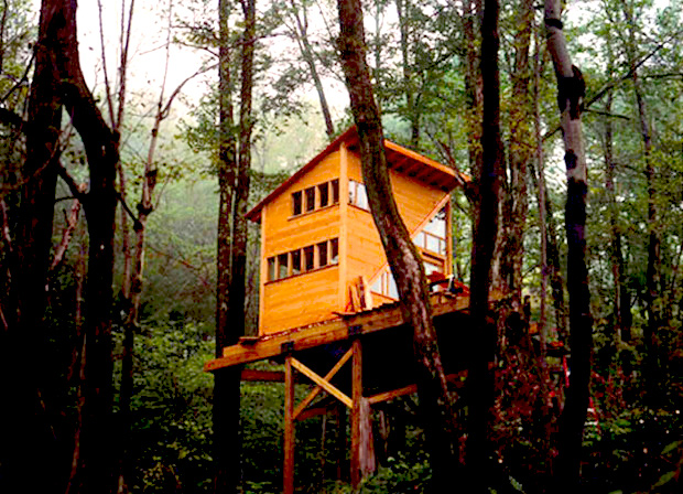 The-Wee-Treehouse05- new