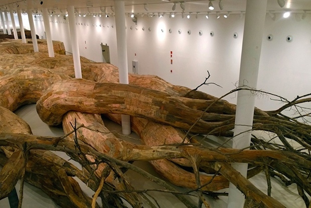 展示フロアを浸食するアート、木の根に諸行無常を見る「Transarquitetonica」