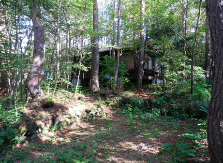 溶け込む森の家 in 軽井沢