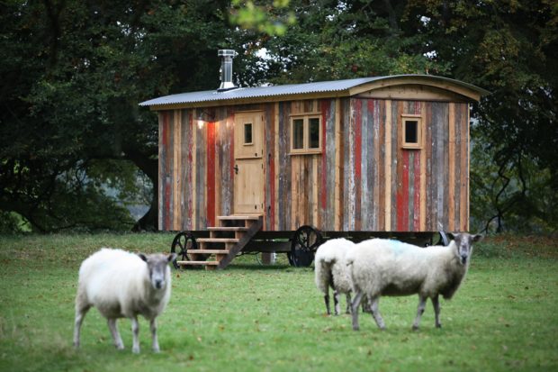 Bracken-Hut-at-Hesleyside-Huts