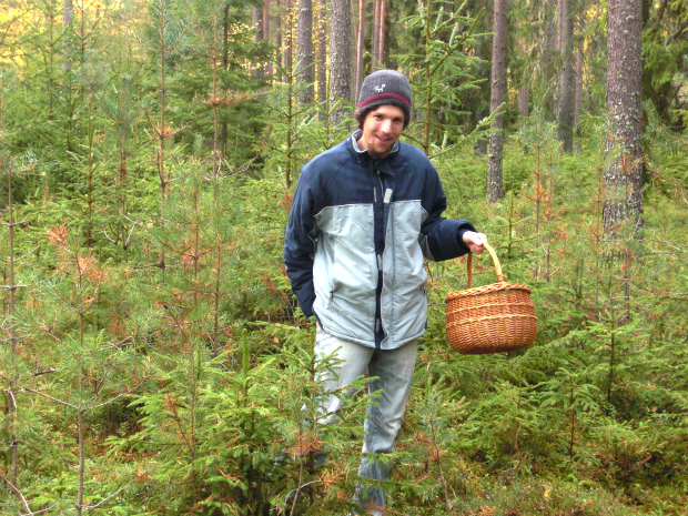 第6回：〜自然の中のシンプルライフ〜 キノコやベリー、森の恵みを探して｜ 北欧スウェーデン、夫の祖国の素敵な暮らし