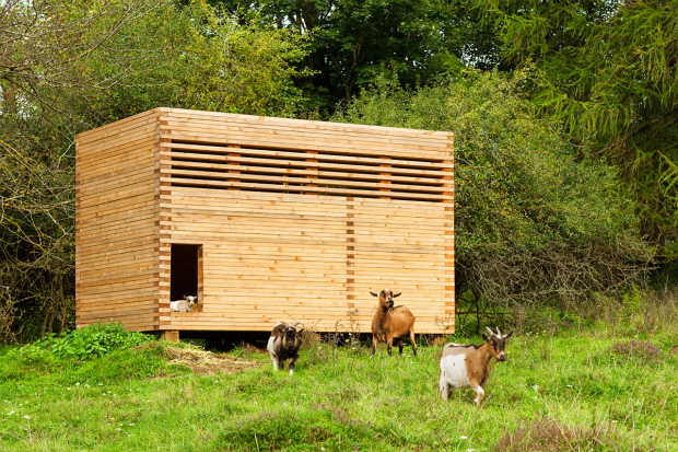 山羊だって豊かに暮らしたい、庭で暮らす小さな小屋の仲間たち「Ziegenstall」