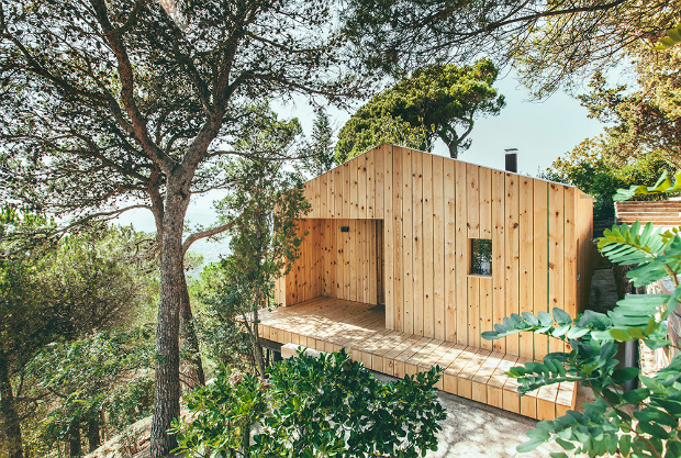 夏も冬も快適に暮らせる、ナチュラルな木肌が美しい家「Wood studio house」