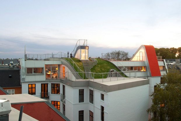 憧れの庭を屋上に 都市部でも作れる 住民のための屋上庭園 Rooftop Garden Birkegade Yadokari Net 小屋 タイニーハウス 空き家 移住 コンテナハウスからこれからの暮らしを考え実践するメディア