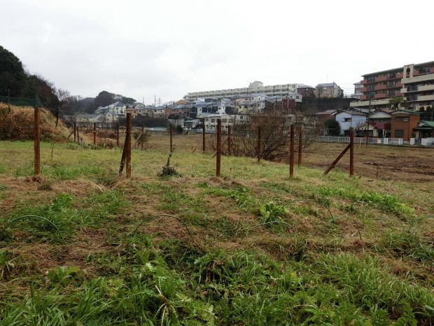 横浜にありながら里山の風景が広がる土地がサトウさんの新生活の場