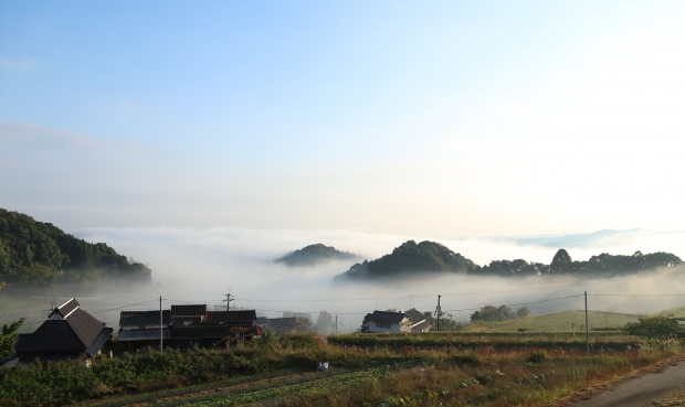 平野部が霧に覆われて神秘的な雰囲気に。上毛町にて、2015年秋。