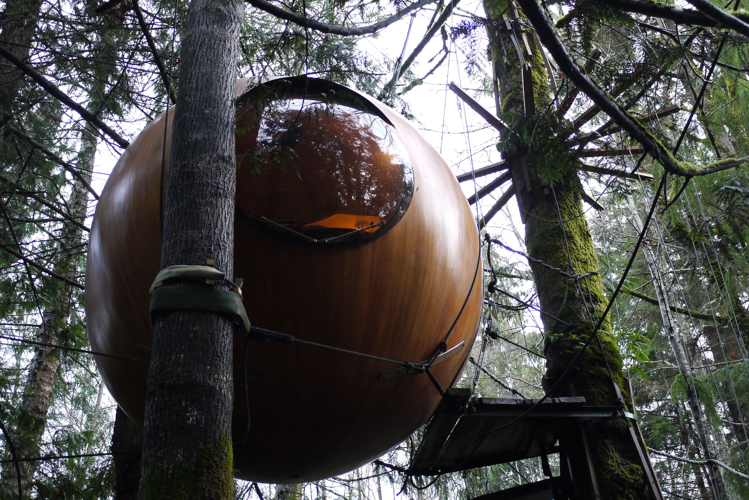 【インタビュー】カナダにある球体ツリーハウス「Free Spirit Spheres」に行ってきた