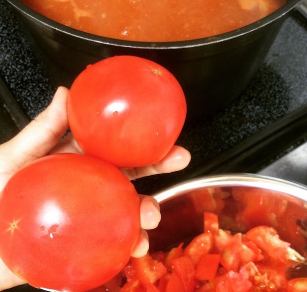 娘夫婦がつくったトマトで、トマトソース、ケチャップ、スープなどを作りました。とても美味しかったです。