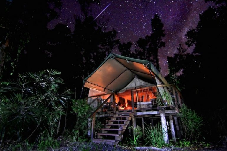 どうぶつの森でぐっすり眠る。Paperbark Campの自然にとけ込むグランピング