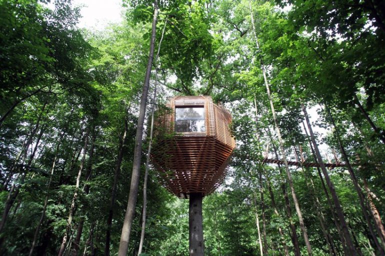 ミノムシ型ツリーハウスでモダンな暮らしを「ORIGIN tree house」
