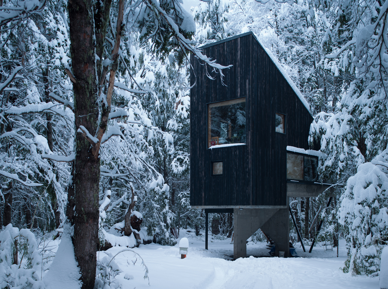 雪のすべり台の屋根 倒木を使ったチリの極寒仕様の山岳キャビン Yadokari Net 小屋 タイニーハウス 空き家 移住 コンテナハウスからこれからの暮らしを考え実践するメディア