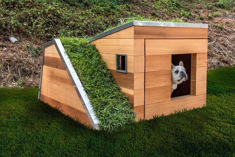 ソーラーパワーで夏でも涼しい。グリーンルーフの夢の犬小屋