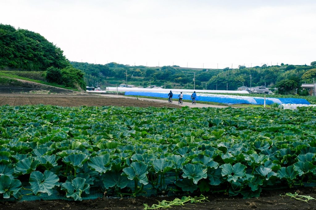 三浦 市 天気 1 時間 一番当たる 神奈川県葉山町の最新天気 1時間 今日明日 週間 Documents Openideo Com