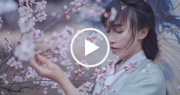 【動画&レポート】桃源郷の快感。李子柒（リー・ズーチー）の暮らし「美」映像が世界を魅了する