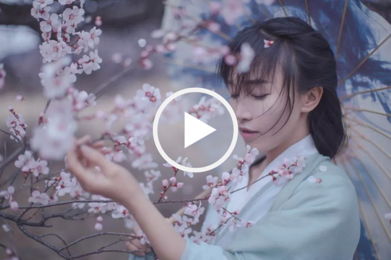【動画&レポート】桃源郷の快感。李子柒（リー・ズーチー）の暮らし「美」映像が世界を魅了する