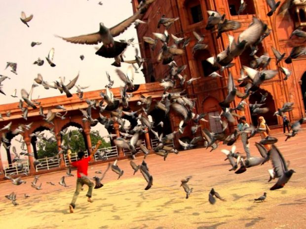 india