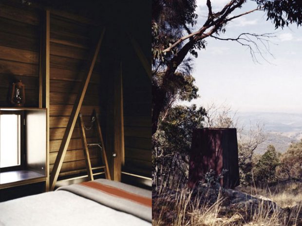 B_mudgee7