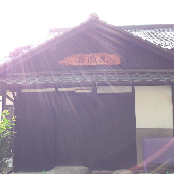 お借りしていた家に差し込む朝日。滞在したそれぞれにとって大切な場所になりました。