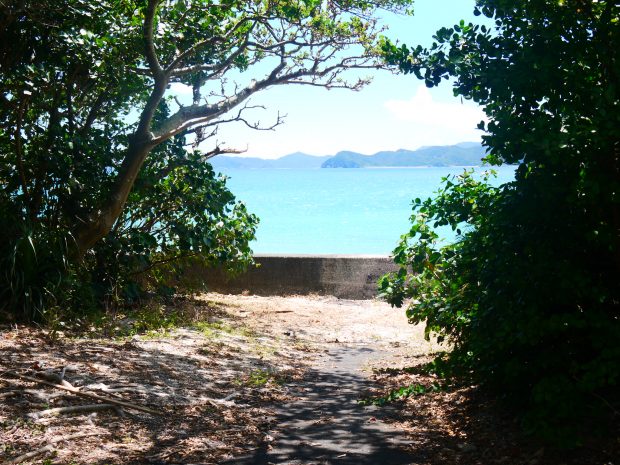 海へと向かう道でご近所の方と会い「今日、海青いねー」と会話する時、「人生って最高だな」なんて思ったりします。