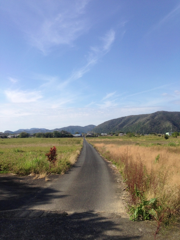 買い物に行くときによく通るのがこの道。季節によっては夕日に照らされる一本道に。