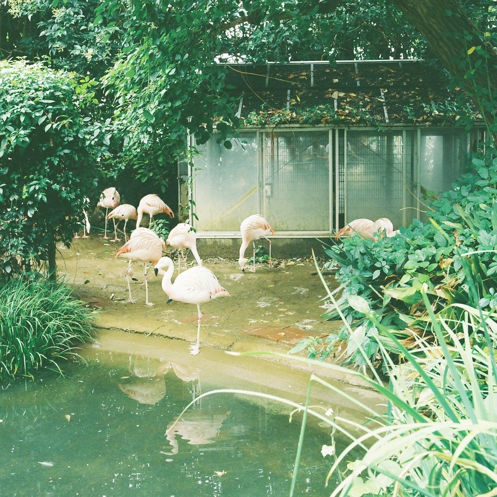 動物園にいるとつい時間を忘れます