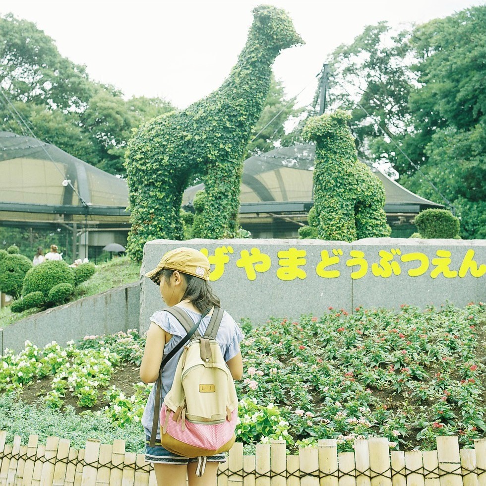 スタート地点はベイエリアからも歩いて行ける野毛山動物園