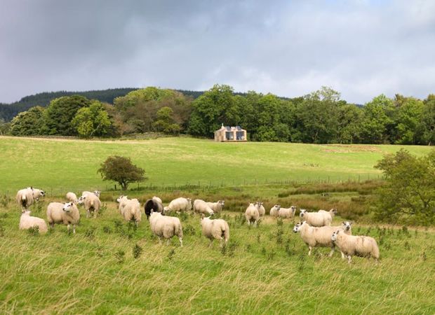 BrocklochBothy_20