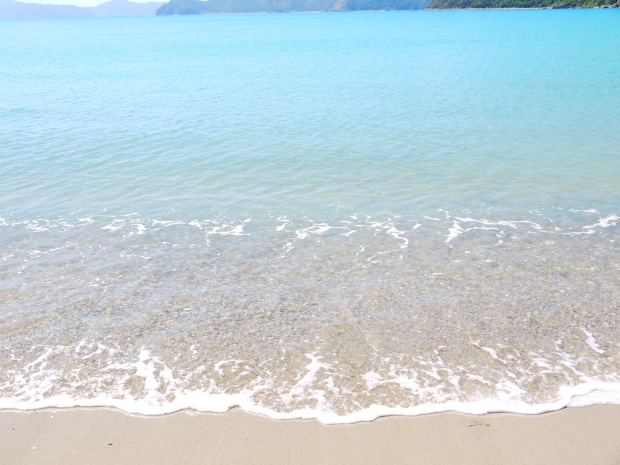 島に来て初めて見たのがこの海。 透き通った海はとても綺麗だけれど、同時に恐ろしいものでもあることは加計呂麻島に来てわかるようになりました。