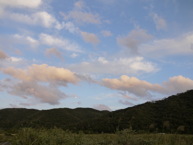 家の近くの山々は、きっとそろそろみずみずしい新緑が見える頃。
