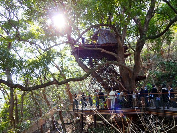 treehouse_atami1