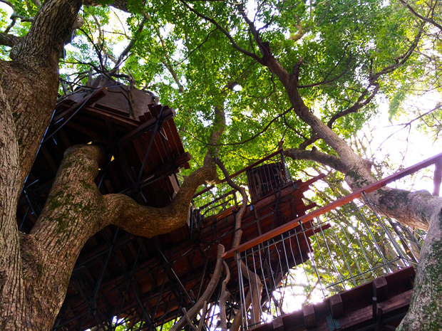 treehouse_atami1b