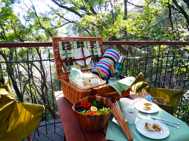 treehouse_atami4_