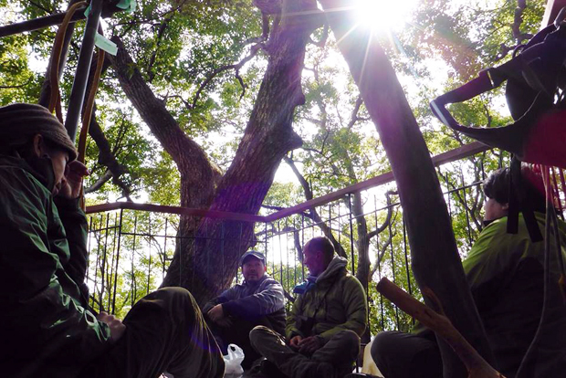 treehouse_atami5c