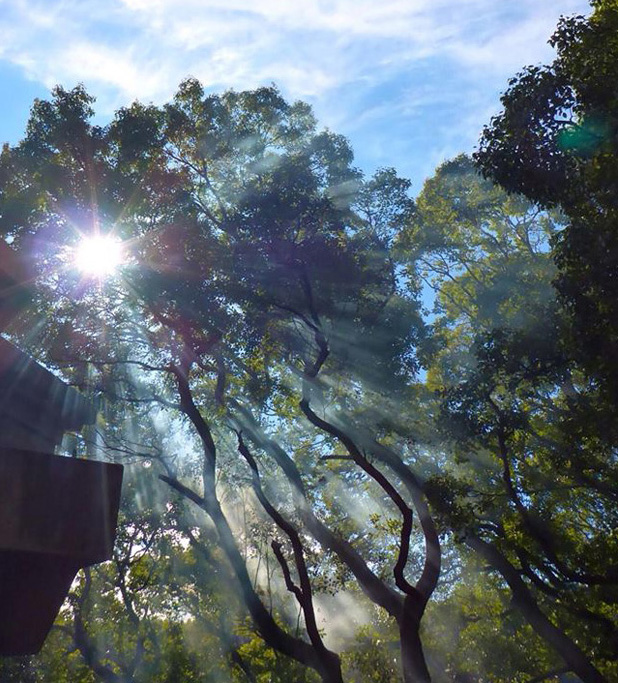 treehouse_atami6
