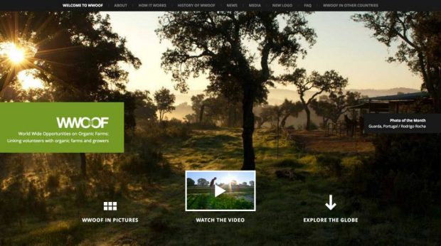 農業ボランティアマッチングサービス「WWOOF」