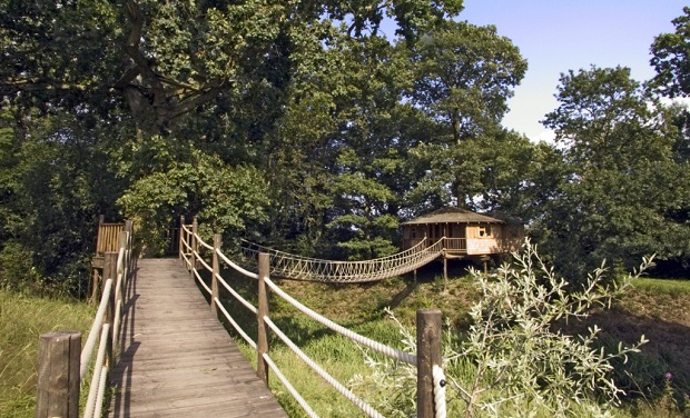 Bensfield-Tree-House7
