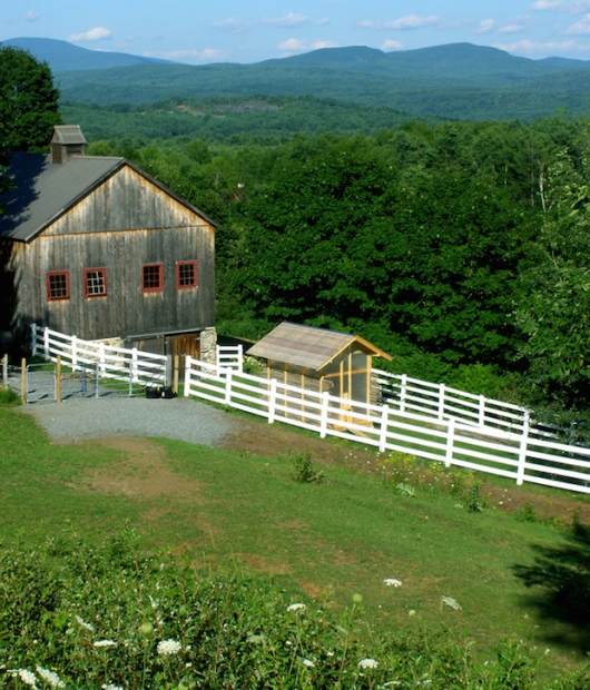 Chicken-Chapel-in-landscape