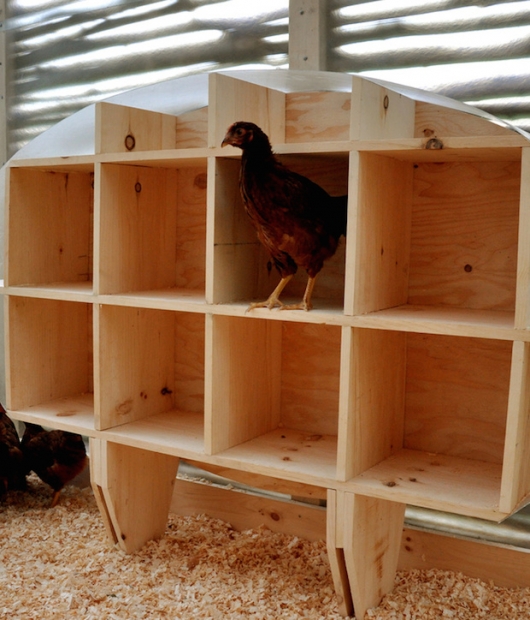 Chicken-Chapel-roosting-house