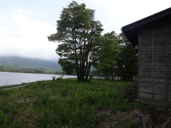 yamanaka-lake_5