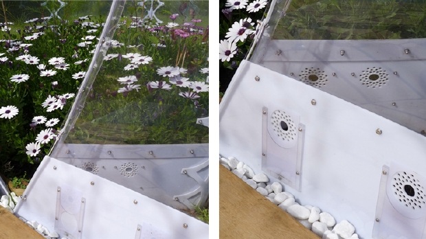 Invisible-Garden-House-05