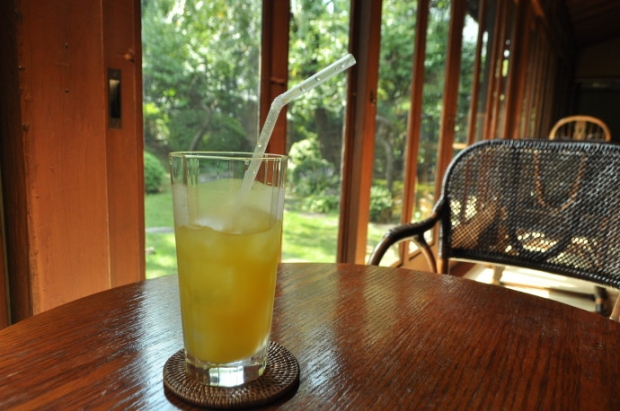 DSC_0079-690x458