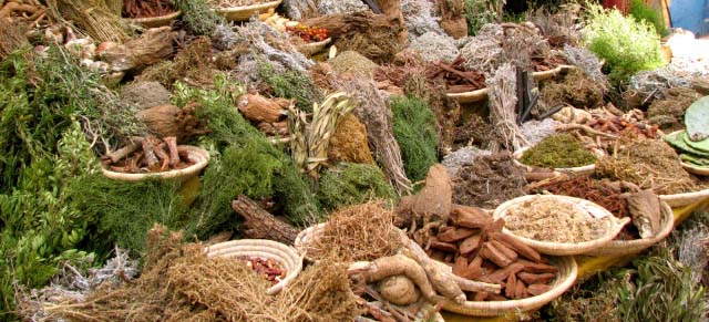 herb market