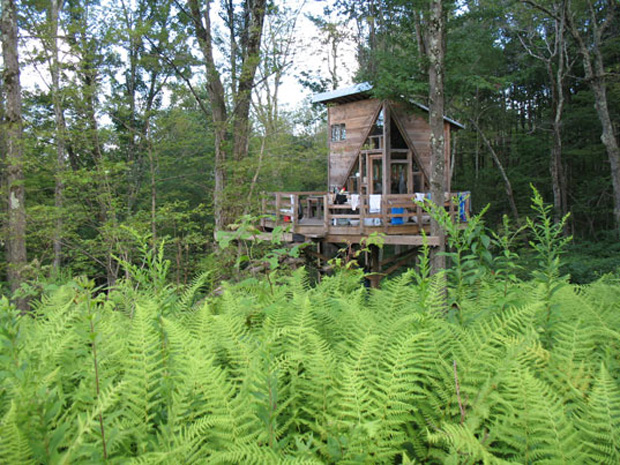 The Wee Treehouse04