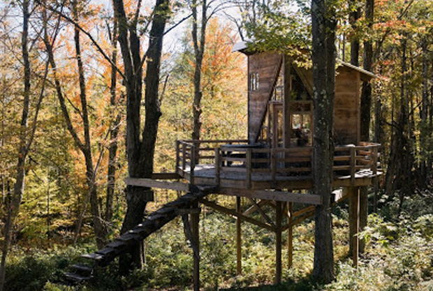 The Wee Treehouse07